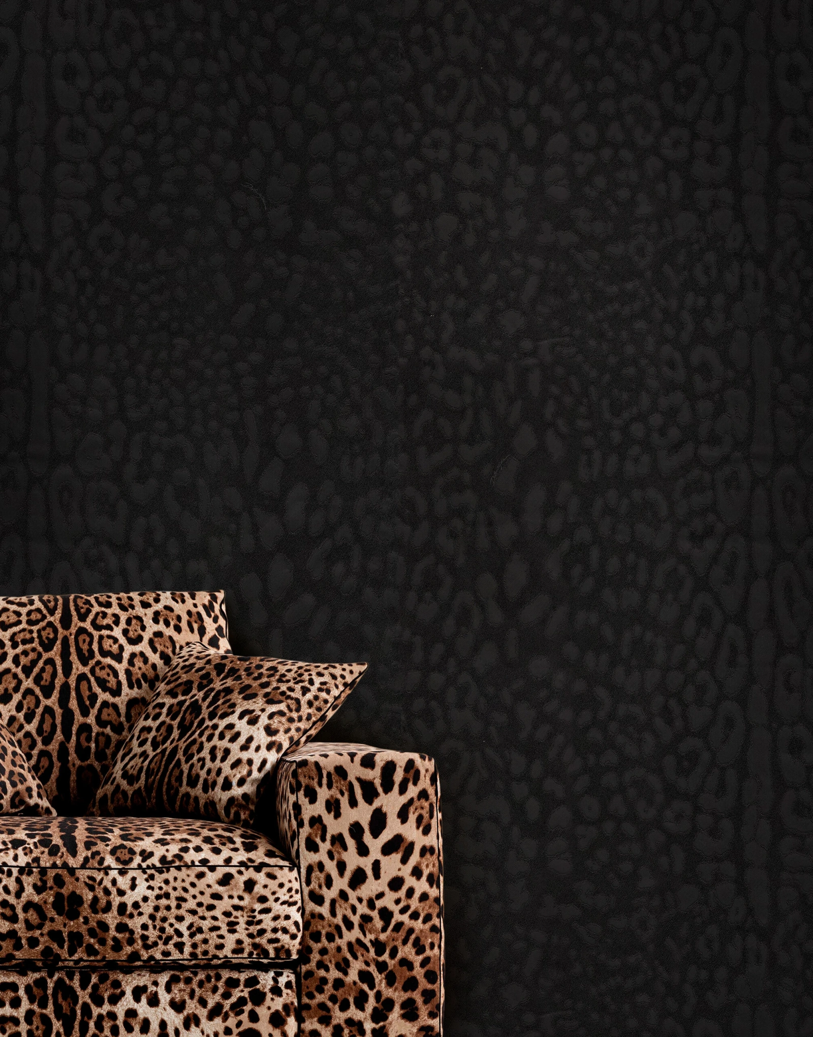 Dolce & Gabbana Casa TCW007TCAI9UL037